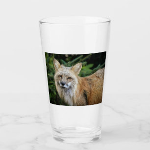 Wild Fox