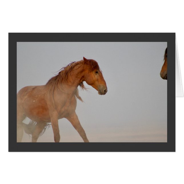 WILD HORSE OF UTAH IN WESTERN DESERT (Anverso (Horizontal))