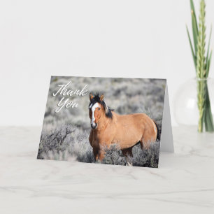 Wild Mustang Foto Tarjeta de agradecimiento