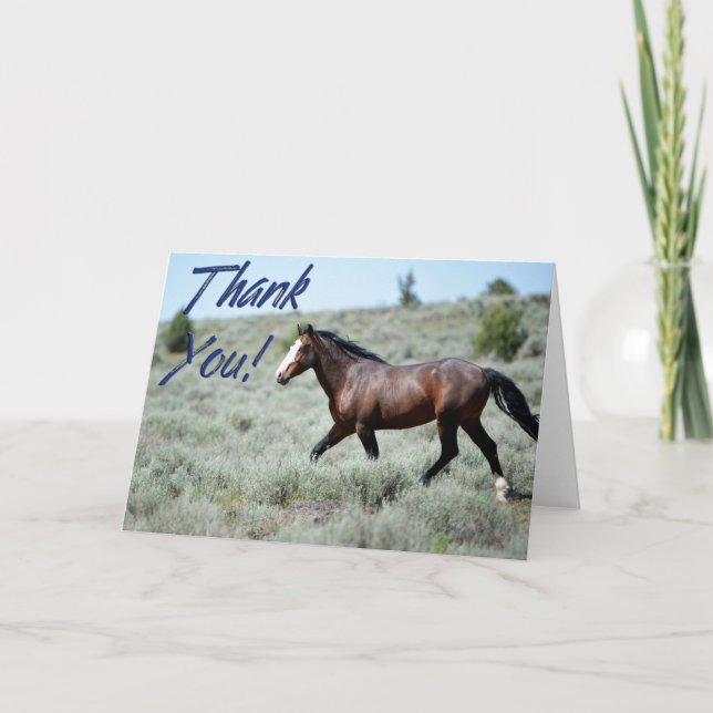 Wild Mustang Foto Tarjeta de agradecimiento (Anverso)