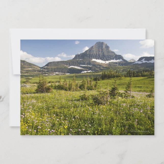 Wildflower Meadow (Anverso)
