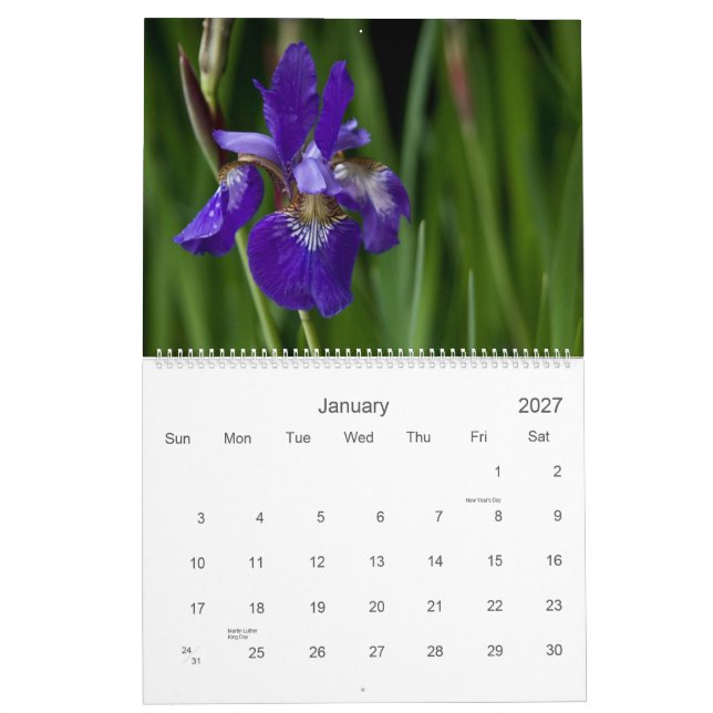 Wildflowers del calendario de Europa 2010 (Jan 2027)