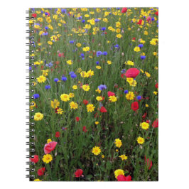 Wildflowers del verano del cuaderno de Loch Ness