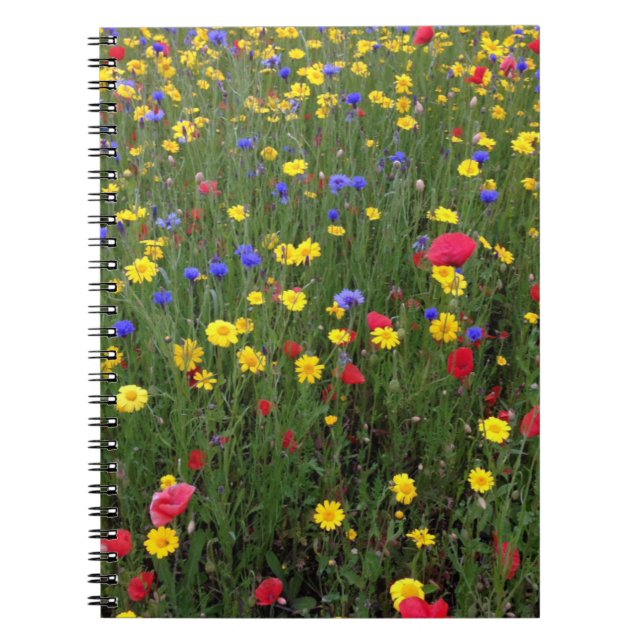 Wildflowers del verano del cuaderno de Loch Ness (Frente)
