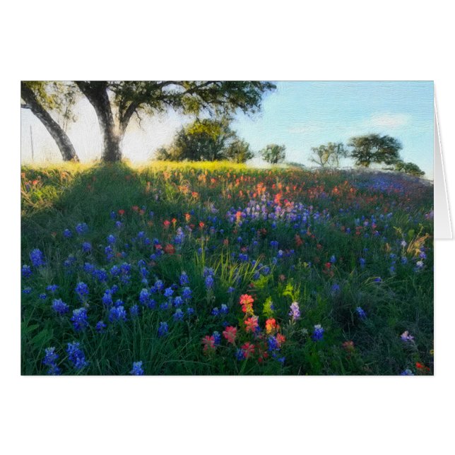 Wildflowers en luz de la tarde (Anverso (Horizontal))