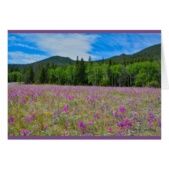 Wildflowers en Parque Nacional de las Montañas (Anverso (Horizontal))