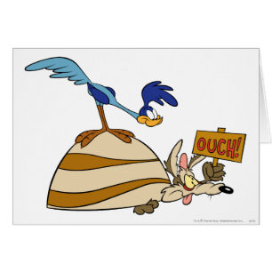 WILE E. COYOTE™ y ROAD RUNNER™ Boulder
