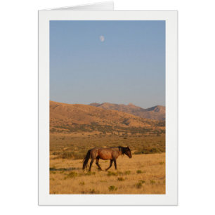 WILE HORSE CAMINANDO CON NUEVA MOON NOTECARD