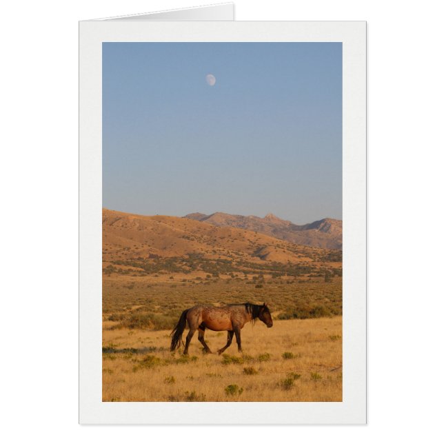 WILE HORSE CAMINANDO CON NUEVA MOON NOTECARD (Frente)