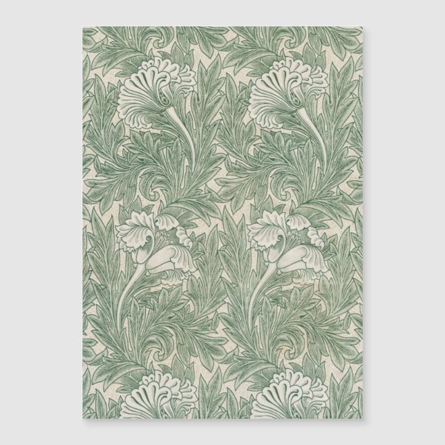 William Morris Verde Salvia Estampado de Tulipán:  (Anverso)