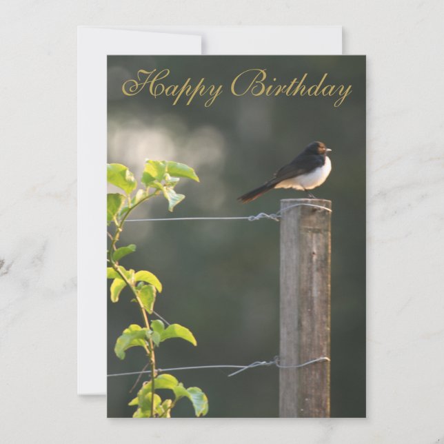 Willie Wagtail Feliz cumpleaños (Anverso)