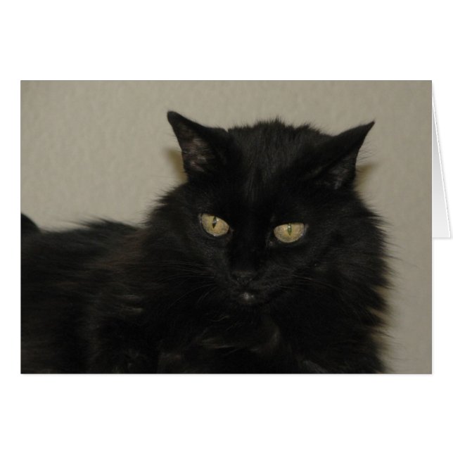 Willow (Anverso (Horizontal))