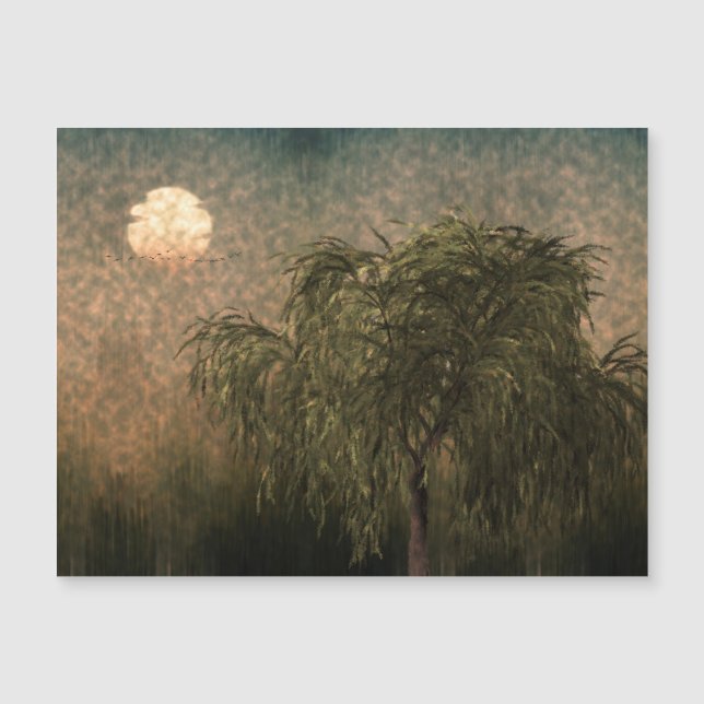 Willow at Sunset (Anverso)