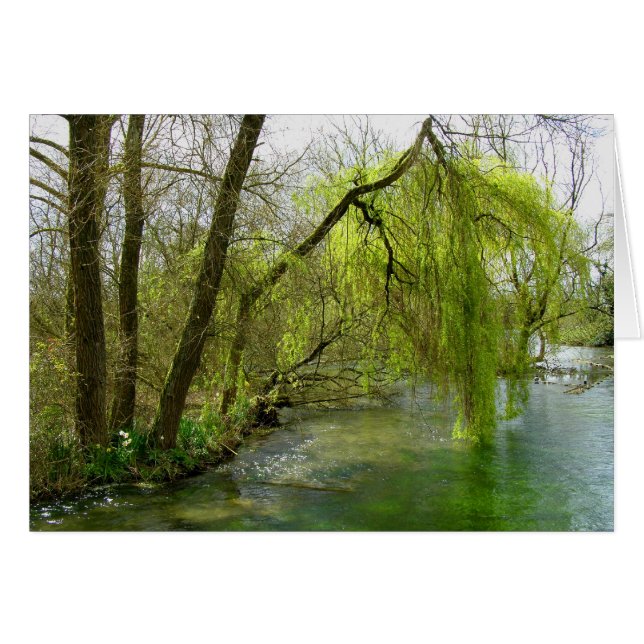 Willow en la tarjeta River Test (Anverso (Horizontal))