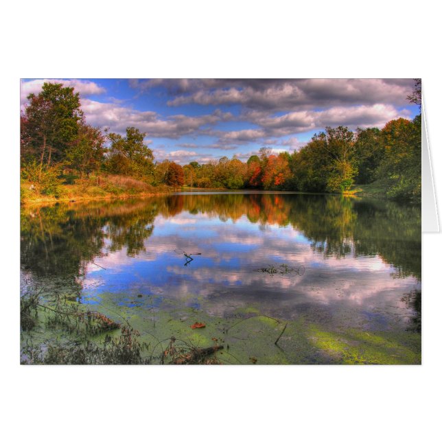 Willow Pond (Anverso (Horizontal))