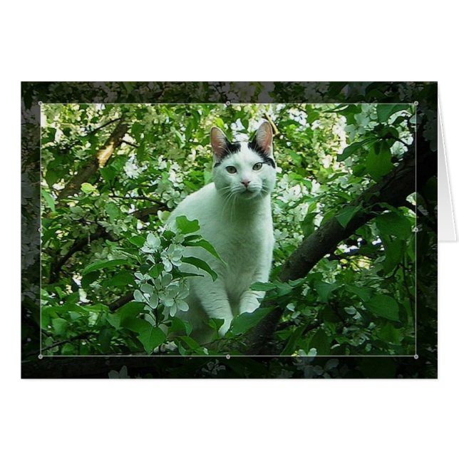 WiLSoN GReeN (Anverso (Horizontal))