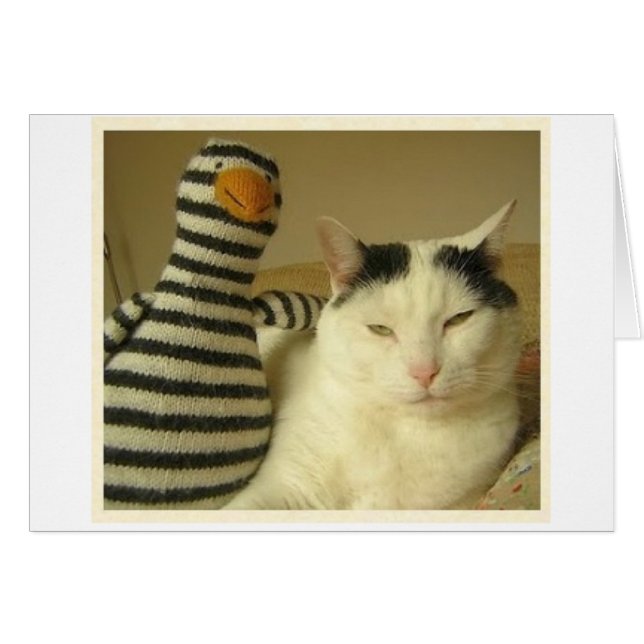 WILSoN y Pengy #1 (Anverso (Horizontal))