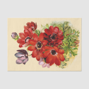 Windflower antiguo del papel seda 1898