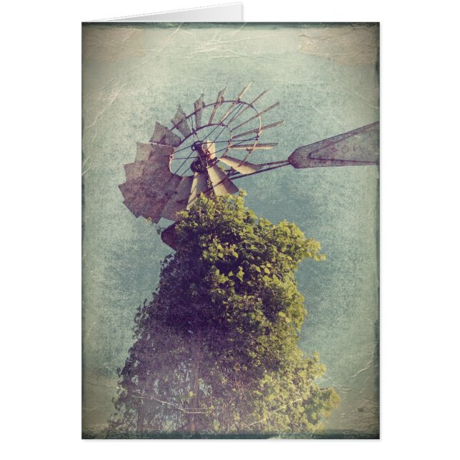 Windmill Grunge (Frente)