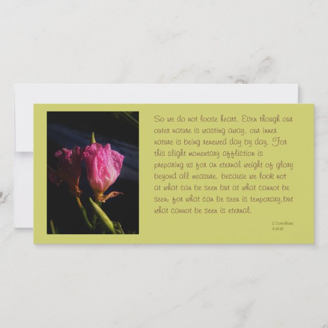 windows cats flores 018.JPG, así que no perdamos.. (Anverso)