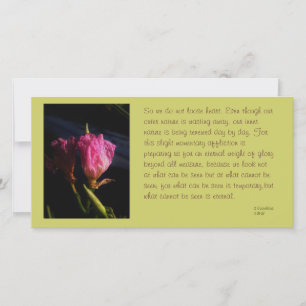 windows cats flores 018.JPG, así que no perdamos..