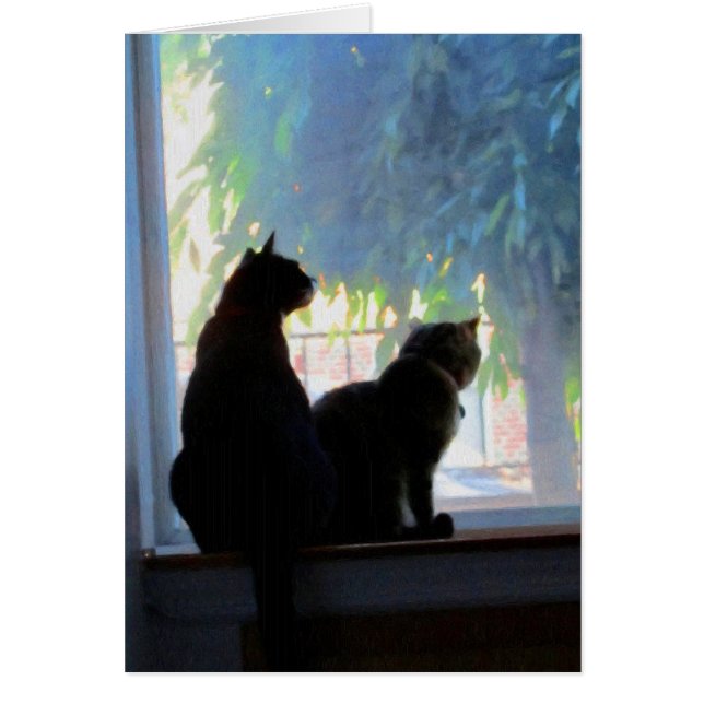 Windows Gazing Kitties (Frente)