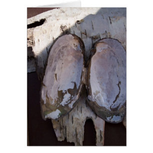 Wings Clamshell