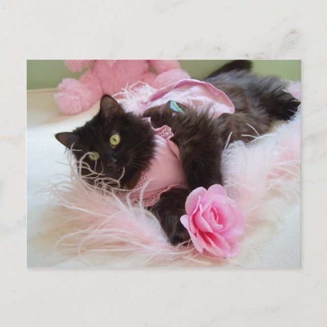 Wink para postal rosa (Anverso)