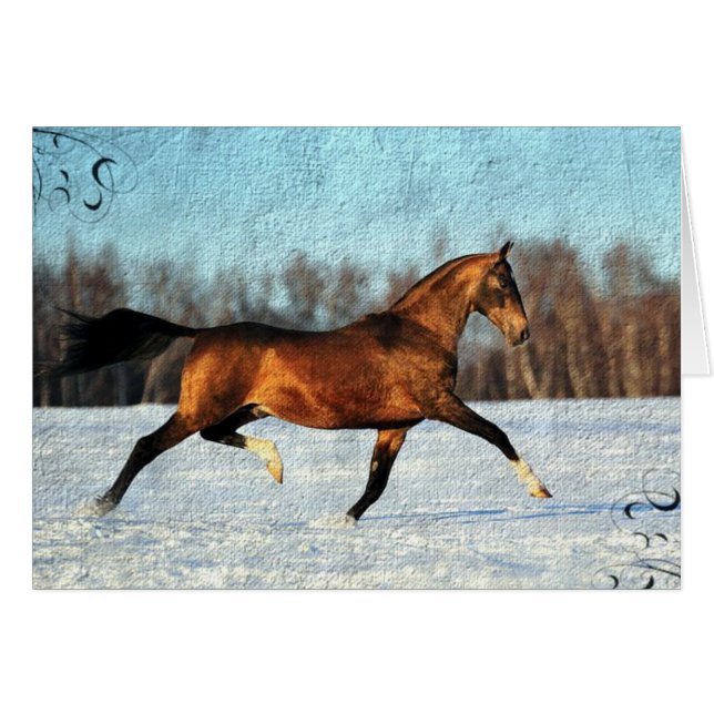 Winter Akhal-teke (Anverso (Horizontal))