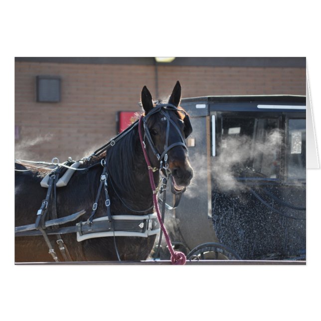 Winter Horse Hitch (Anverso (Horizontal))