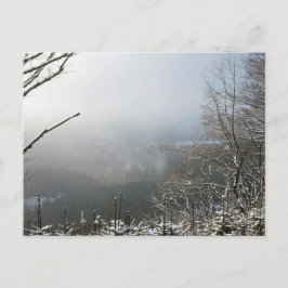 Winter La Tarjeta Forestal Macclesfield