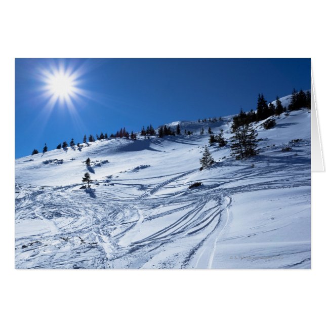 Winter land Winter sun (Anverso (Horizontal))