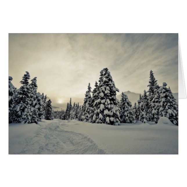 Winter Magic (Anverso (Horizontal))