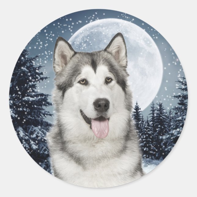 Winter Moon Husky Pegatina (Anverso)