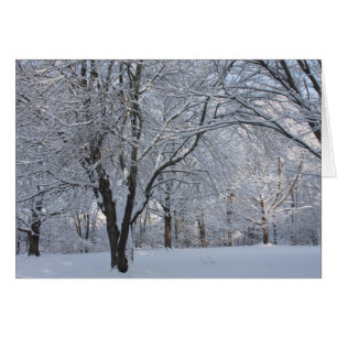 Winter Shroud