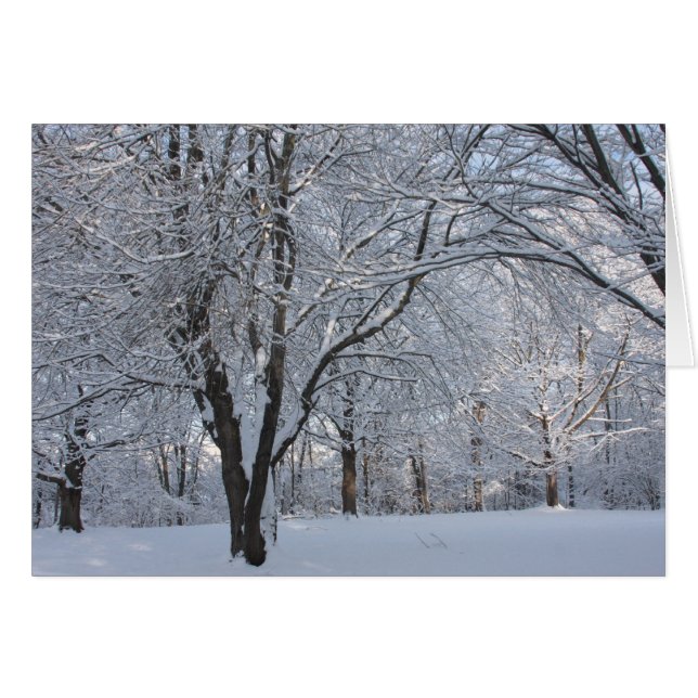 Winter Shroud (Anverso (Horizontal))