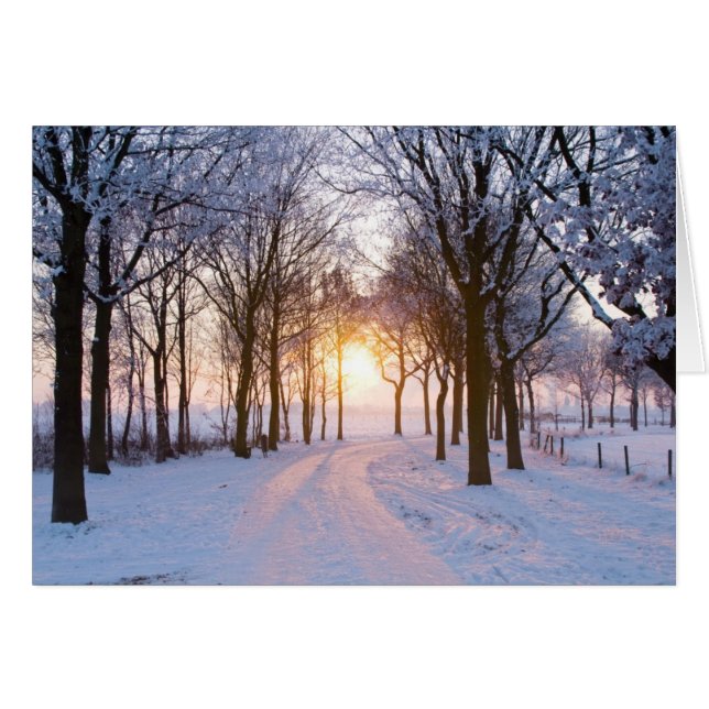Winter Sunset (Anverso (Horizontal))