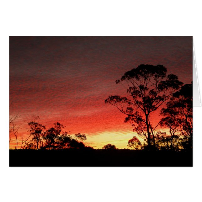 Winter Sunset (Anverso (Horizontal))