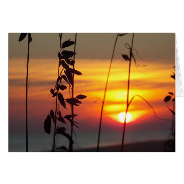 Winter Sunset (Anverso (Horizontal))