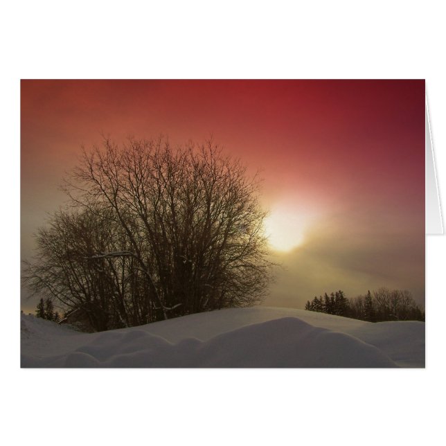 Winter Sunset (Anverso (Horizontal))
