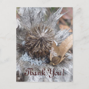 Winter Thistle - Tarjeta de agradecimiento