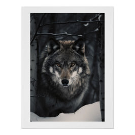 Winter Wolf Gaze Poster