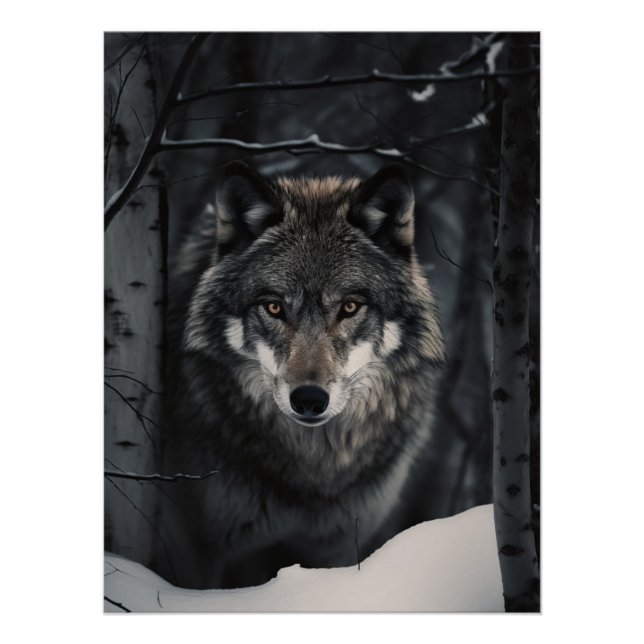 Winter Wolf Gaze Poster (Anverso)