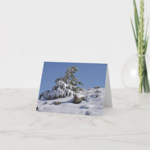 Winter Wonder Tarjeta De Saludo De Todas Las Ocasi