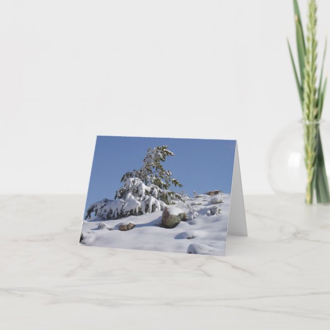 Winter Wonder Tarjeta De Saludo De Todas Las Ocasi (Anverso)