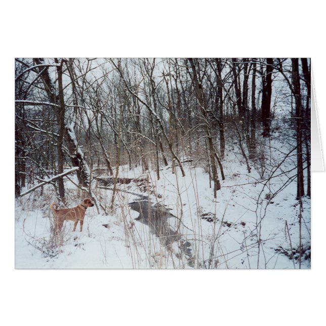 Winter Wonderland (Anverso (Horizontal))