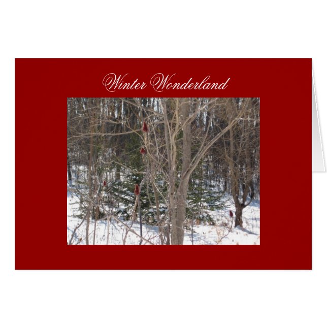 Winter Wonderland (Anverso (Horizontal))