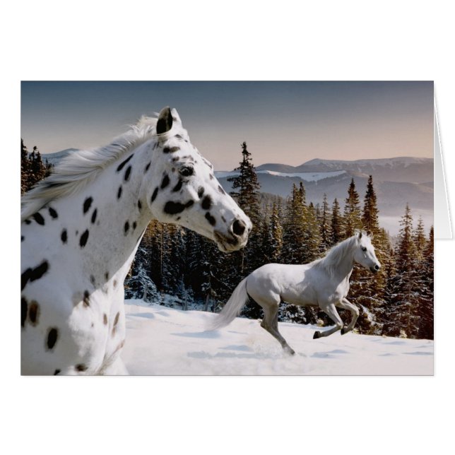 Winter Wonderland (Anverso (Horizontal))