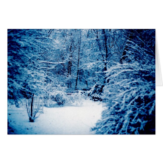 Winter Wonderland (Anverso (Horizontal))