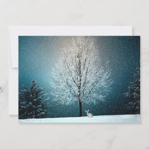 Winter Wonderland con conejo